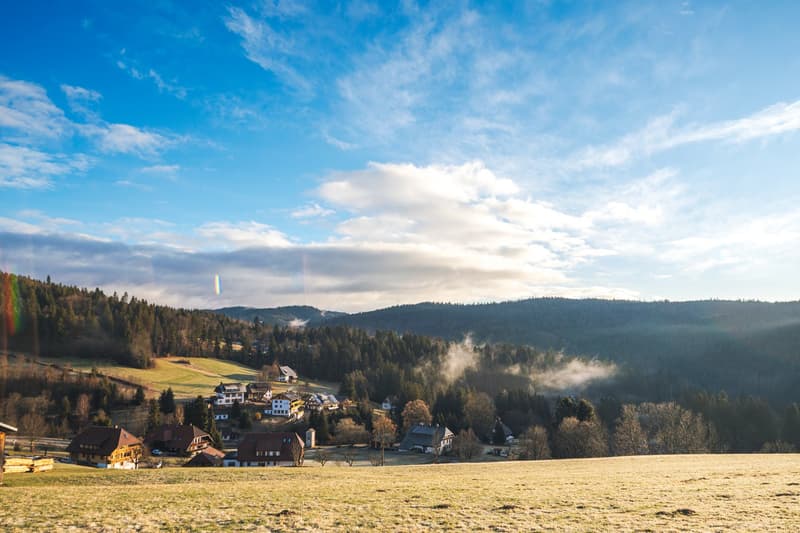Pension Sternen - Charmantes Boutique-Hotel und Apartments inmitten von Natur und Stille in Todtmoos (44)