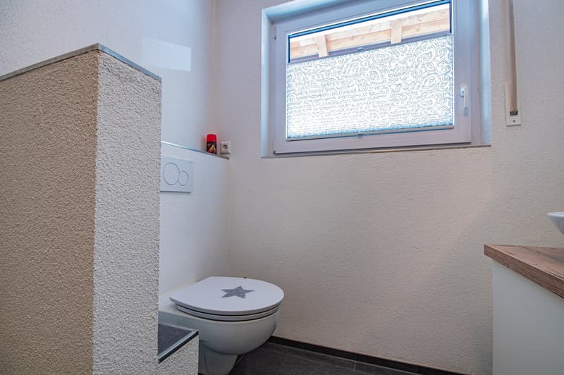 Jeune & Intelligent - Maison de 2 Familles avec Appartement pour Parents à Weizen (12)