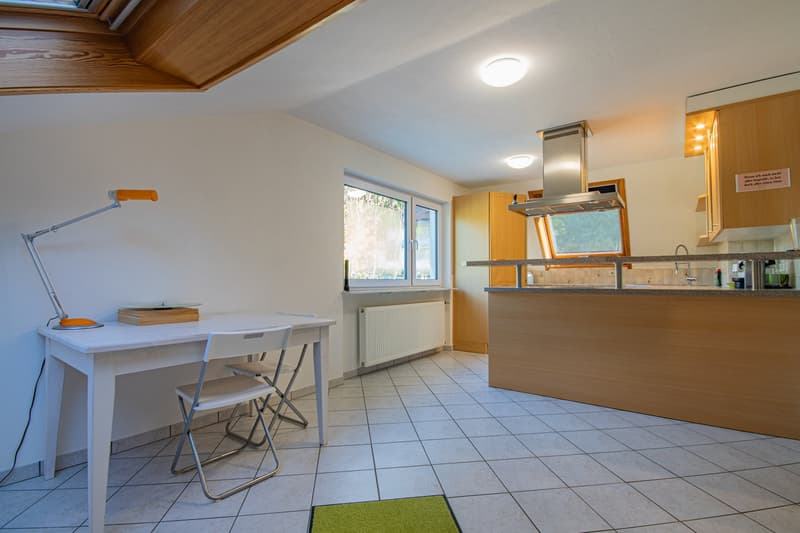Jeune & Intelligent - Maison de 2 Familles avec Appartement pour Parents à Weizen (18)