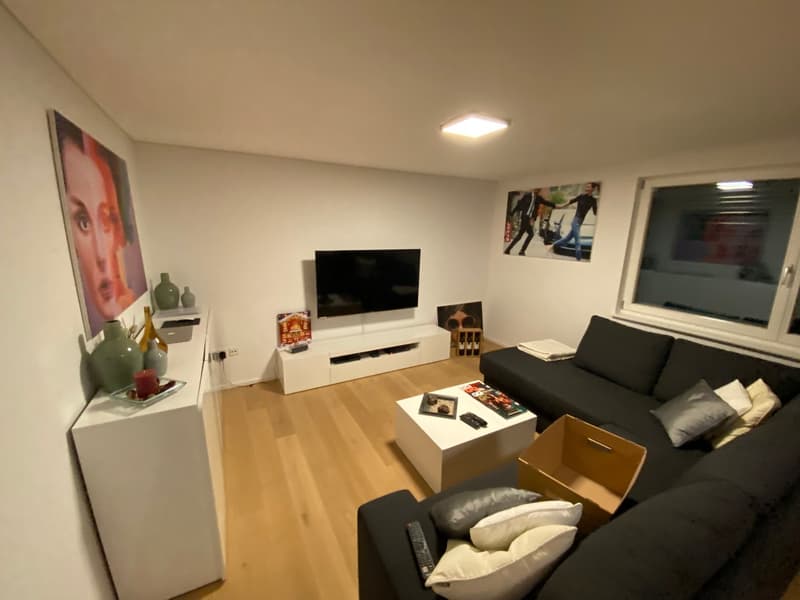 Exklusives Zweifamilienhaus mit Wellness-Außenbereich in Wutöschingen (35)