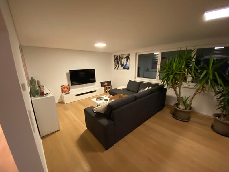 Exklusives Zweifamilienhaus mit Wellness-Außenbereich in Wutöschingen (34)