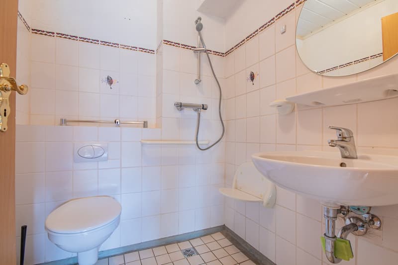 Due appartamenti di proprietà ben curati con grande giardino a Rickenbach - Egg (25)