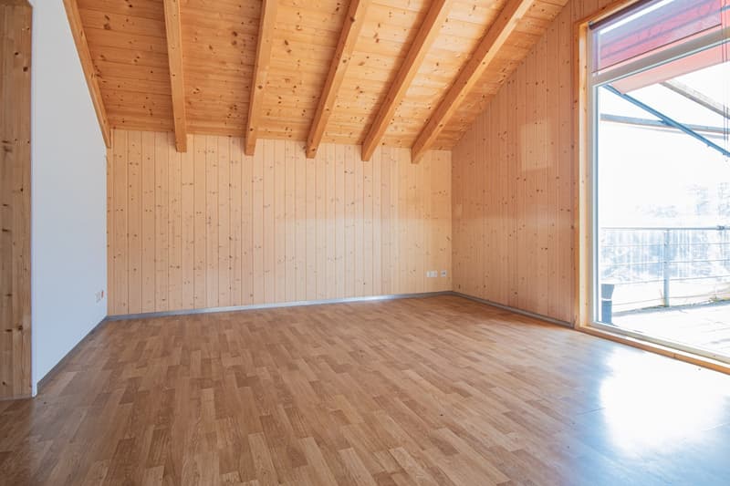 Vivre avec une vue : maison unifamiliale avec annexe et terrasse de rêve dans le vert à Hohenfels (4)