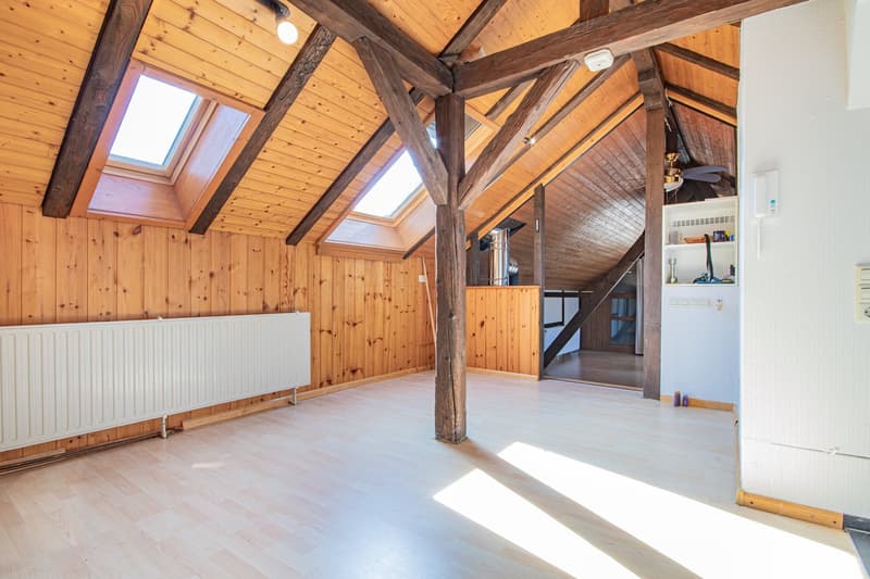 Vivre avec une vue : maison unifamiliale avec annexe et terrasse de rêve dans le vert à Hohenfels (11)