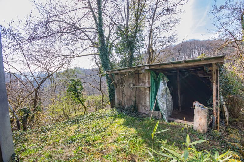 Vivre avec une vue : maison unifamiliale avec annexe et terrasse de rêve dans le vert à Hohenfels (23)