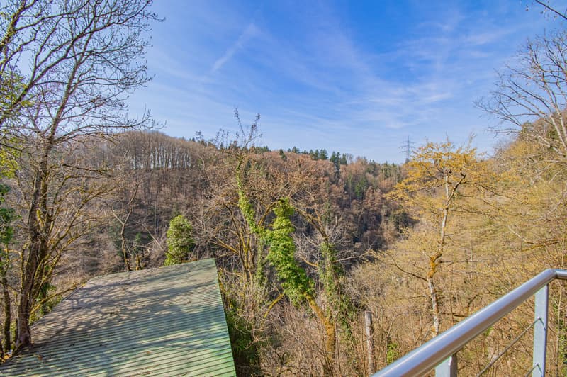 Vivre avec une vue : maison unifamiliale avec annexe et terrasse de rêve dans le vert à Hohenfels (2)