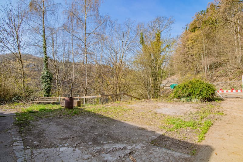 Vivre avec une vue : maison unifamiliale avec annexe et terrasse de rêve dans le vert à Hohenfels (24)
