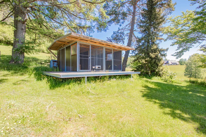 Naturnah wohnen mit außergewöhnlich viel Platz – Einfamilienhaus in Ortsrandlage von Häusern (32)