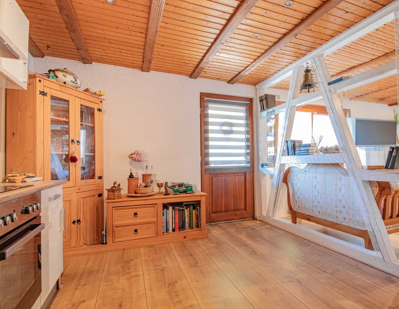 Ruhig gelegene 2,5-Zimmer-Wohnung in Rickenbach - Egg (3)