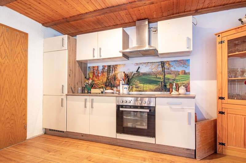 Ruhig gelegene 2,5-Zimmer-Wohnung in Rickenbach - Egg (4)