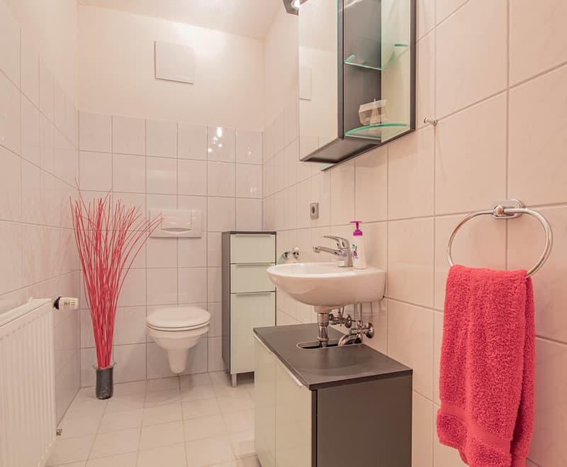 Großzügige 3-Zimmer Wohnung mit zwei Balkonen in Schluchsee (9)