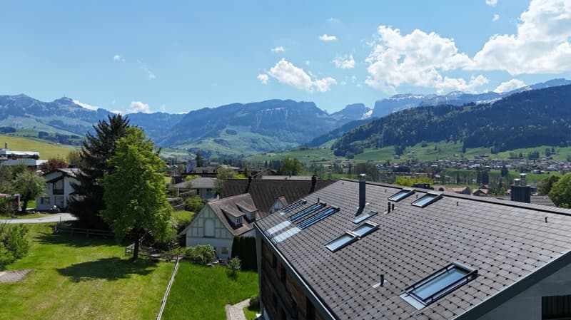 Exklusive Dachwohnung an bevorzugter Lage (10)
