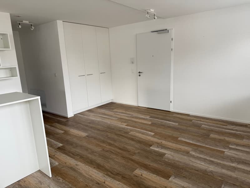 Eingangsbereich mit Wandschränken