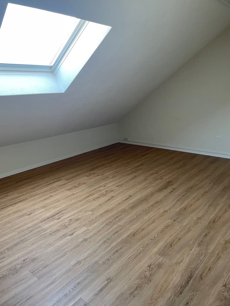 Zimmer DG