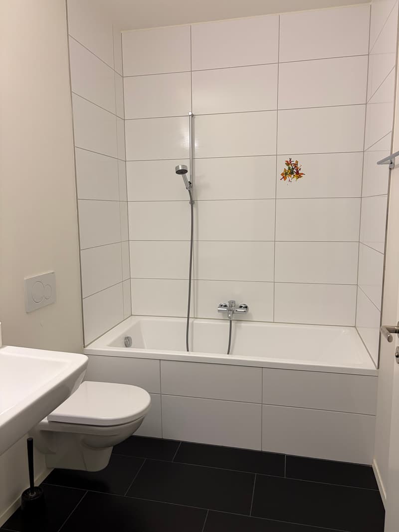 Einzigartige Eigentums-Wohnung am Herterweiher (6)
