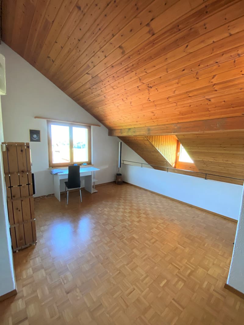 4½-Zimmer-Maisonette-Dachwohnung im Grünen (6)