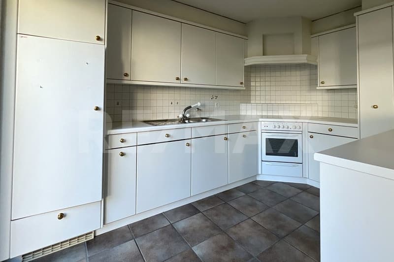 Grosszügiges Reihenmittelhaus an attraktiver Lage (8)