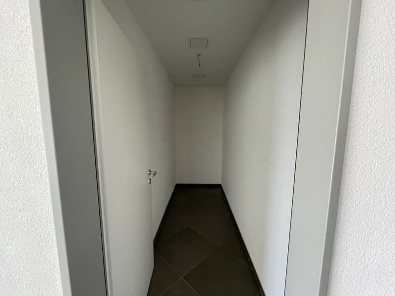 Wunderschöne 4.5-Zimmer-Attikawohnung mit Bergsicht (14)
