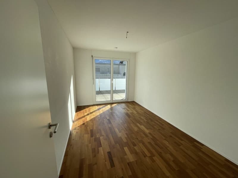 Wunderschöne 4.5-Zimmer-Attikawohnung mit Bergsicht (9)