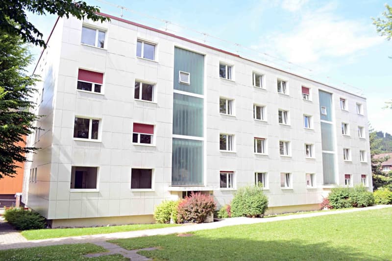 3.5-ZW mit schöner Bergsicht im Kalkofenquartier gesucht? (1)