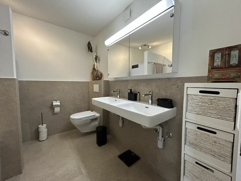 Frisch renovierte 4.5-Zimmer-Wohnung zu vermieten (9)