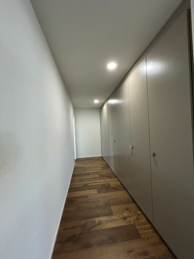 Frisch renovierte 4.5-Zimmer-Wohnung zu vermieten (8)
