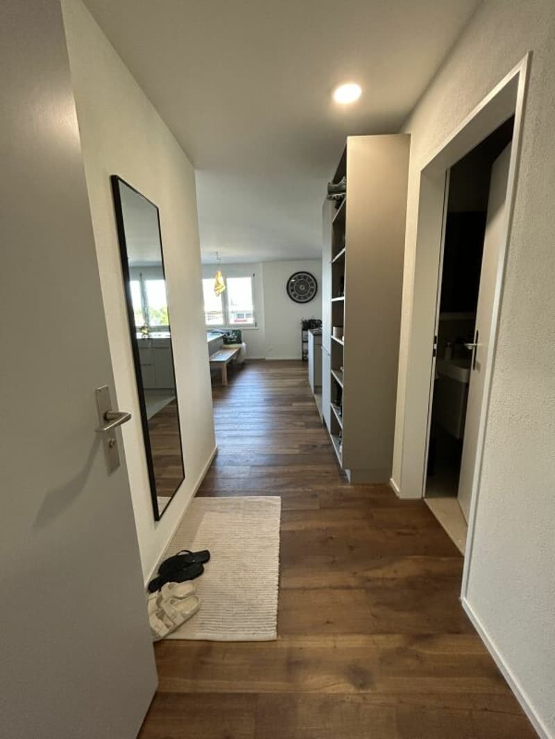 Frisch renovierte 4.5-Zimmer-Wohnung zu vermieten (7)