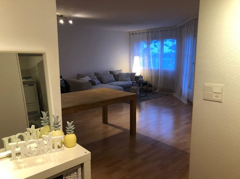 Ankommen und geniessen - heimelige 2.5-Zimmer-Wohnung (4)