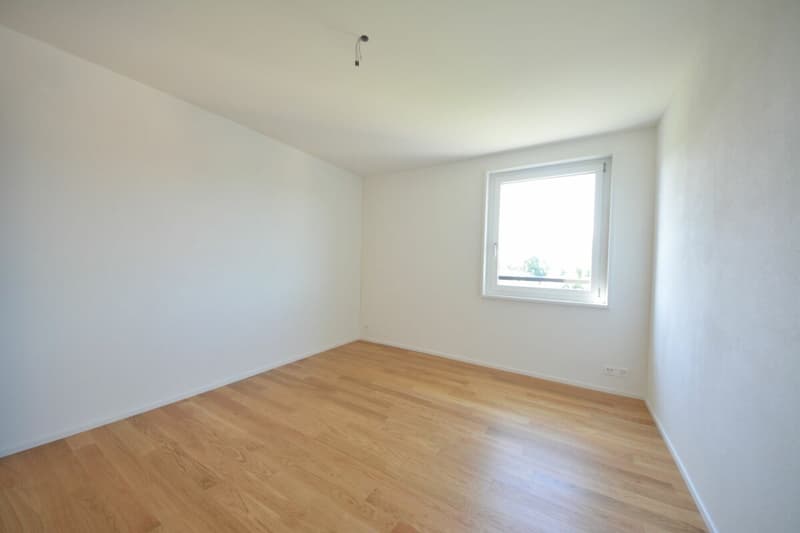 Attraktive 3.5-Zimmer Attikawohnung in Stadtnähe zu vermieten (12)