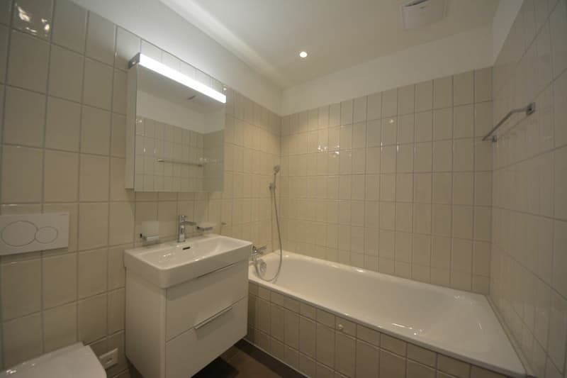 Attraktive 3.5-Zimmer Attikawohnung in Stadtnähe zu vermieten (14)