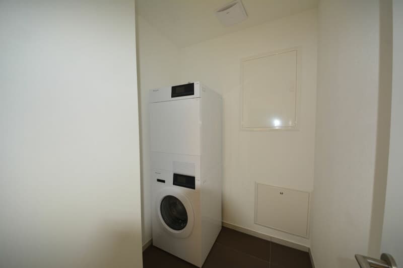 Attraktive 3.5-Zimmer Attikawohnung in Stadtnähe zu vermieten (15)