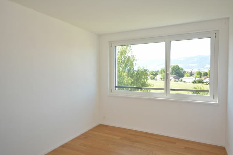 Attraktive 3.5-Zimmer Attikawohnung in Stadtnähe zu vermieten (8)