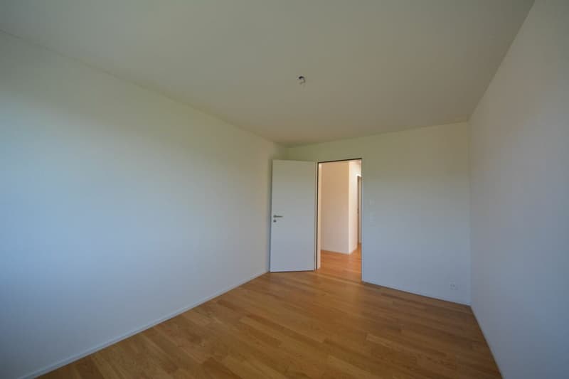 Attraktive 3.5-Zimmer Attikawohnung in Stadtnähe zu vermieten (11)