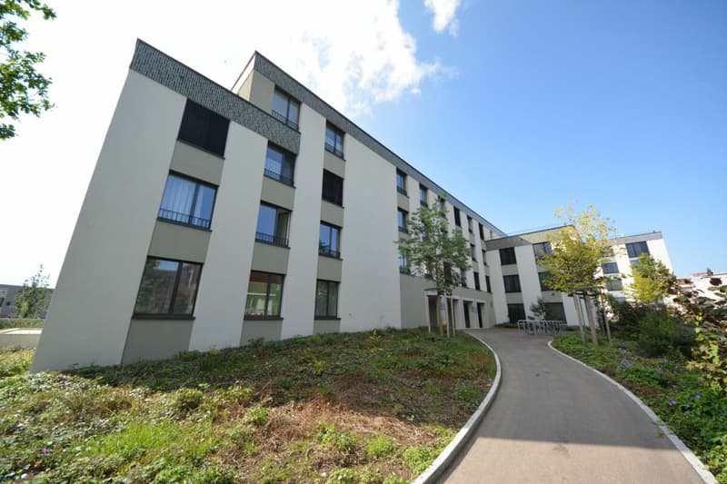 Moderne 4.5-Zimmerwohnung in familienfreundlichem Quartier zu vermieten (1)