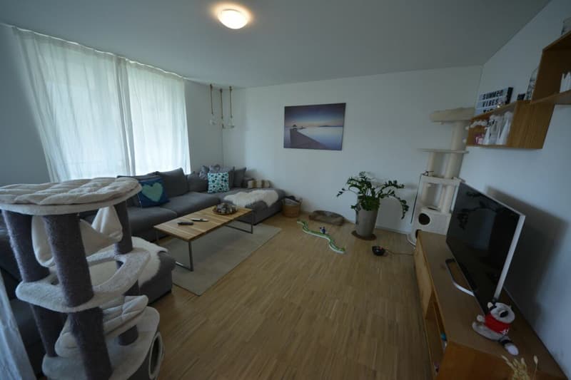 Moderne 4.5-Zimmerwohnung in familienfreundlichem Quartier zu vermieten (4)