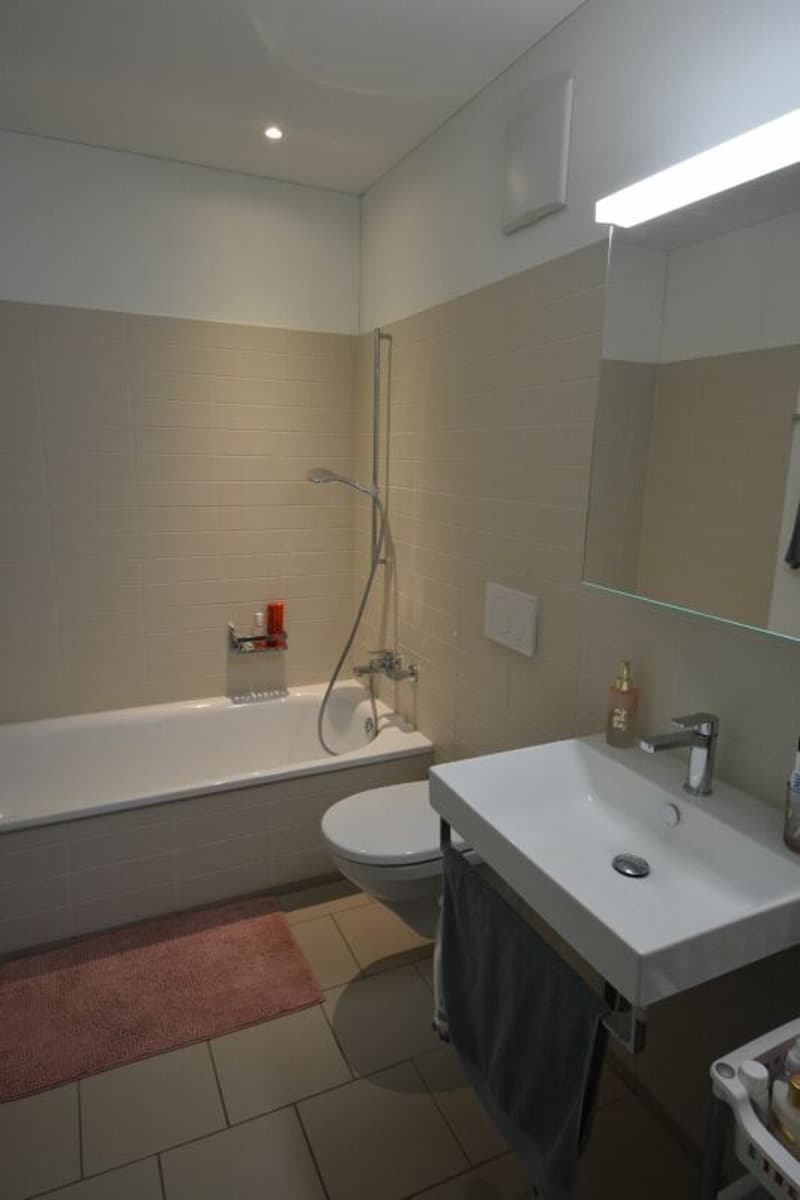Moderne 4.5-Zimmerwohnung in familienfreundlichem Quartier zu vermieten (9)