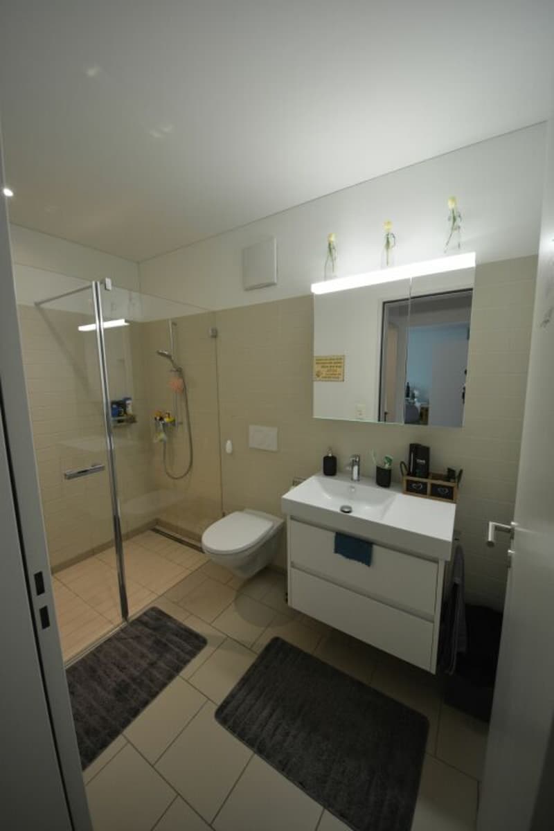 Moderne 4.5-Zimmerwohnung in familienfreundlichem Quartier zu vermieten (10)