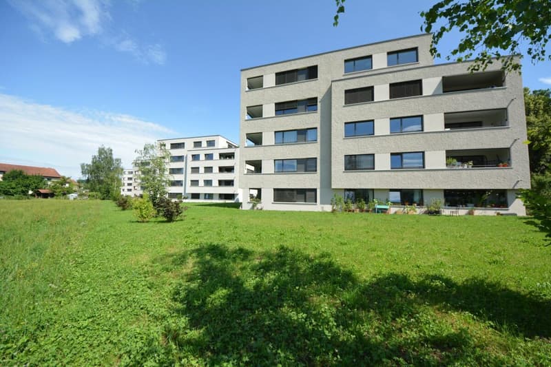 Moderne 2.5-Zimmer an beliebter Lage sucht Nachmieter (13)