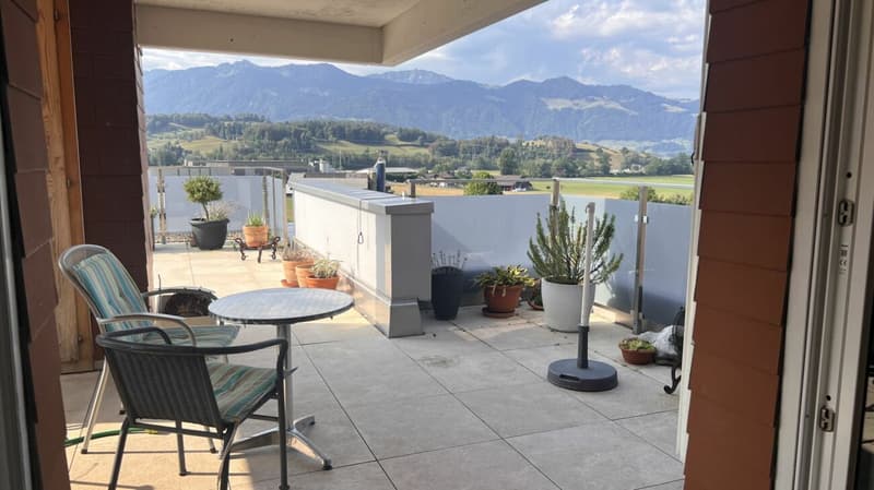 Grosszügige 5.5-ZW mit riesiger Terrasse wartet auf Sie! (11)