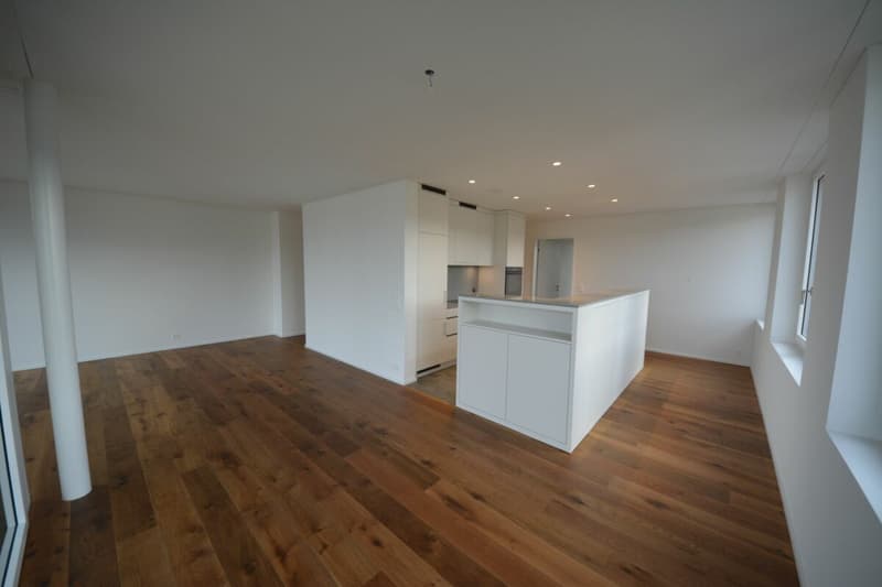 Seewiese - Wunderschöne 4.5-Zimmer Hochparterrewohnung zu vermieten (4)