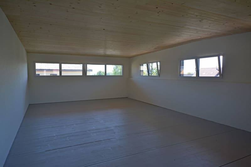 Atelier/Studio 60 m2 in Uznach zu vermieten (2)