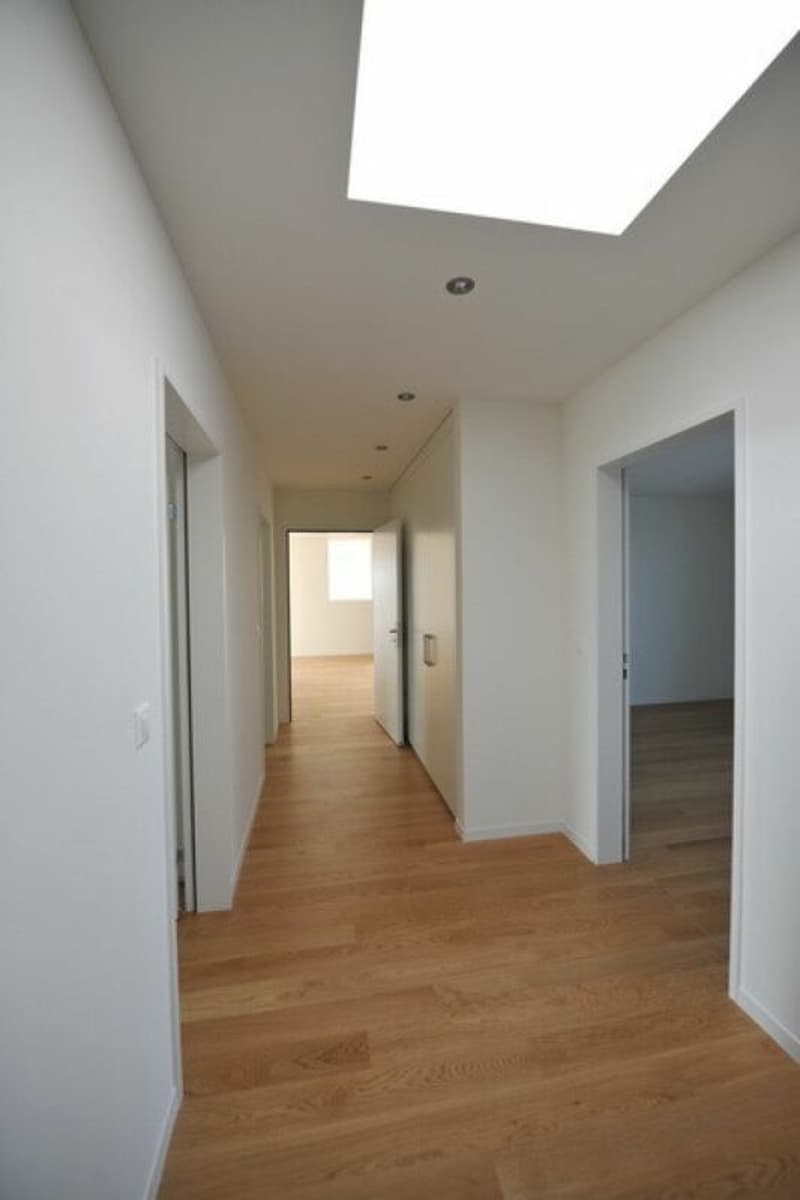 Wunderschöne 5 1/2-Zimmer-Attika-Wohnung mit Cheminée sucht SIE! (7)