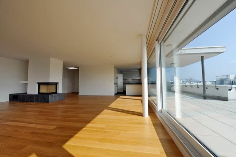 Wunderschöne 5 1/2-Zimmer-Attika-Wohnung mit Cheminée sucht SIE! (3)