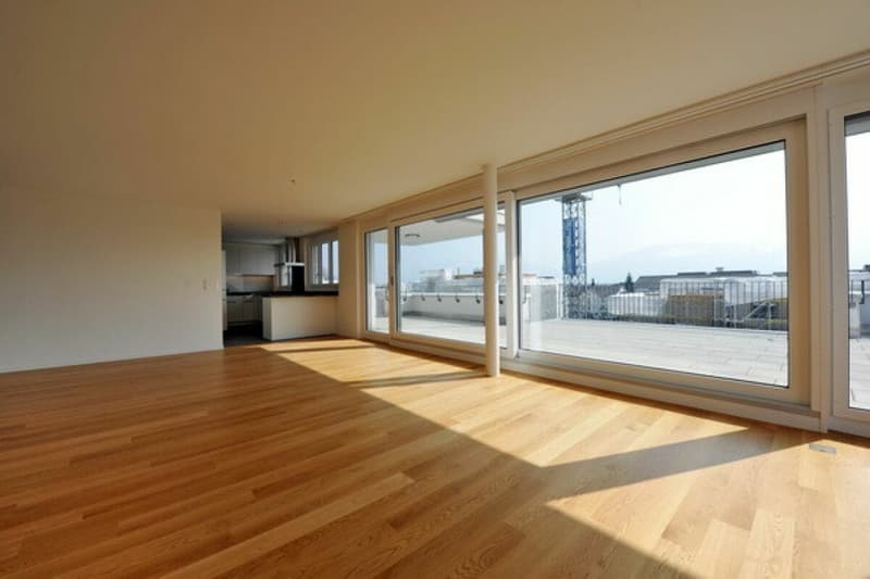 Wunderschöne 5 1/2-Zimmer-Attika-Wohnung mit Cheminée sucht SIE! (4)