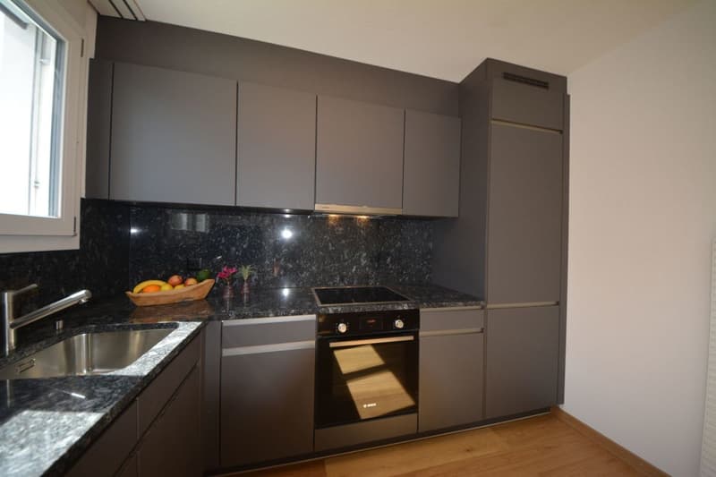 Familienfreundliche 4.5 Zimmerwohnung im Grünen (3)