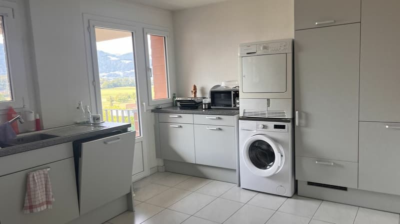 5.5-Zimmerwohung mit grosszügigem Grundriss und Terrasse wartet auf Sie! (3)