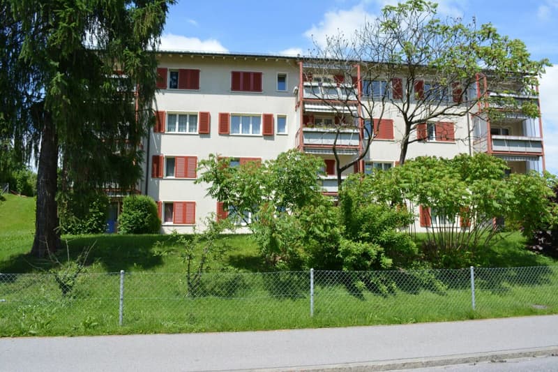 4-Zimmerwohnung an zentraler Wohnlage (1)