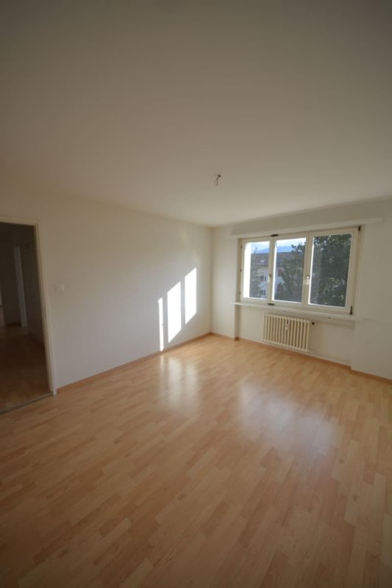3-Zimmerwohnung mit herrlichem Bergblick sucht Nachmieter? (4)