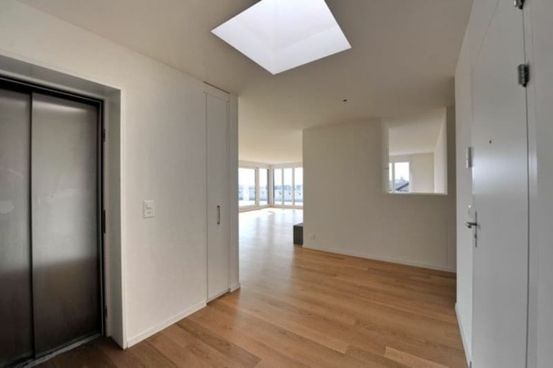 Wunderschöne 5 1/2-Zimmer-Attika-Wohnung mit Cheminée sucht SIE! (6)