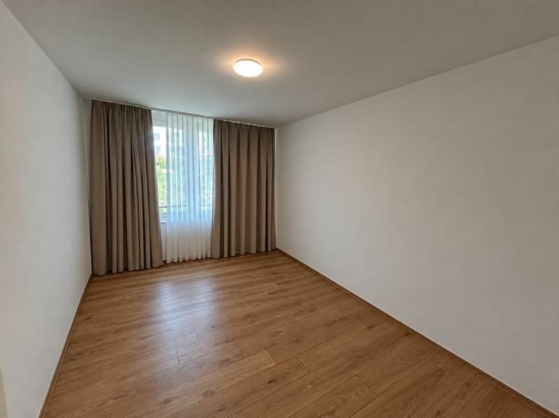 4.5- Zimmer-Attikawohnung im Eigentumsstandard gesucht? (15)